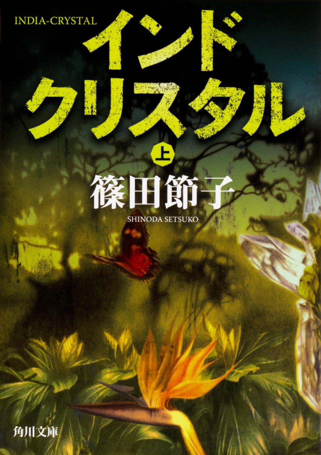 篠田節子 インドクリスタル 小説