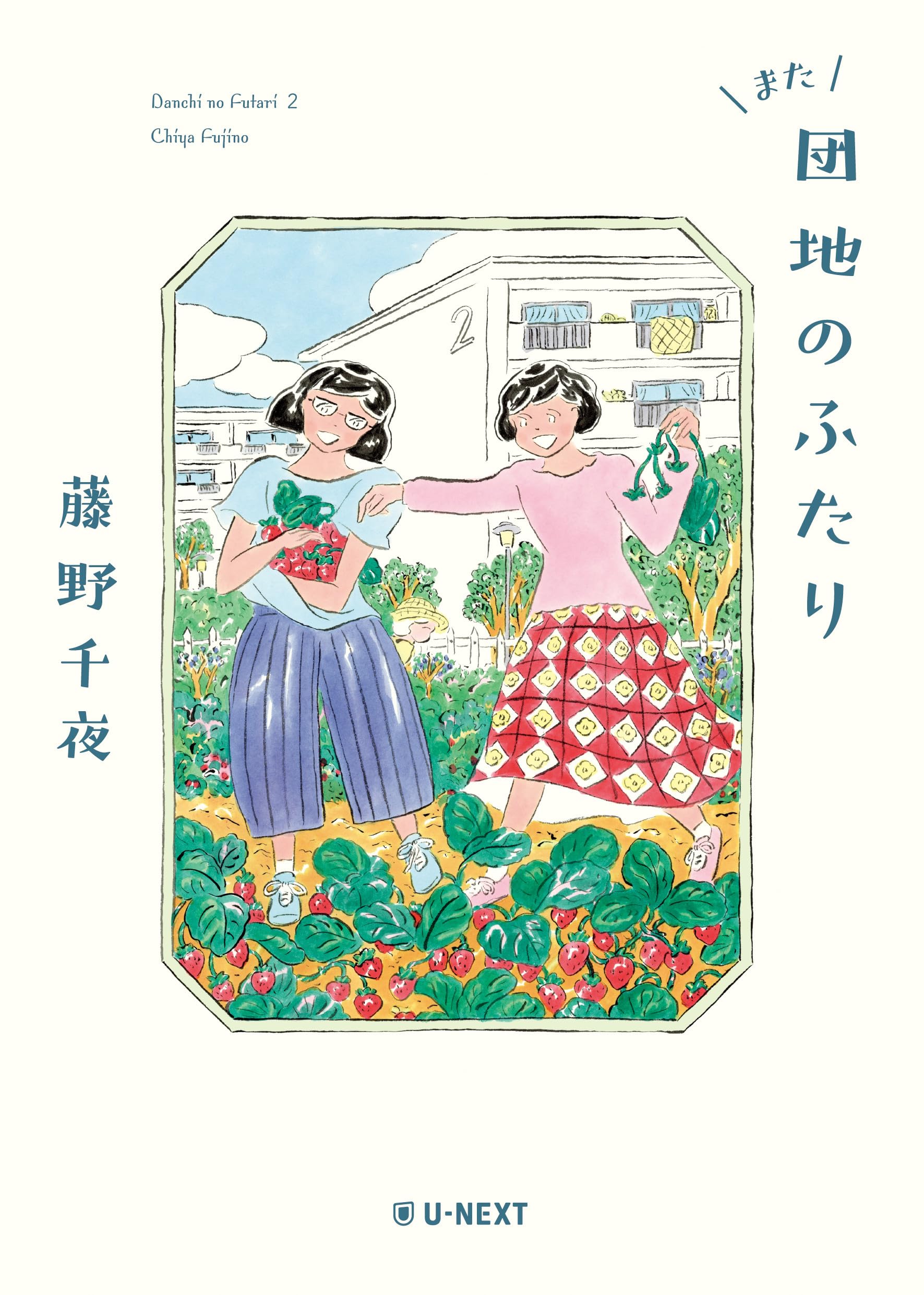 藤野千夜 団地のふたり 小説