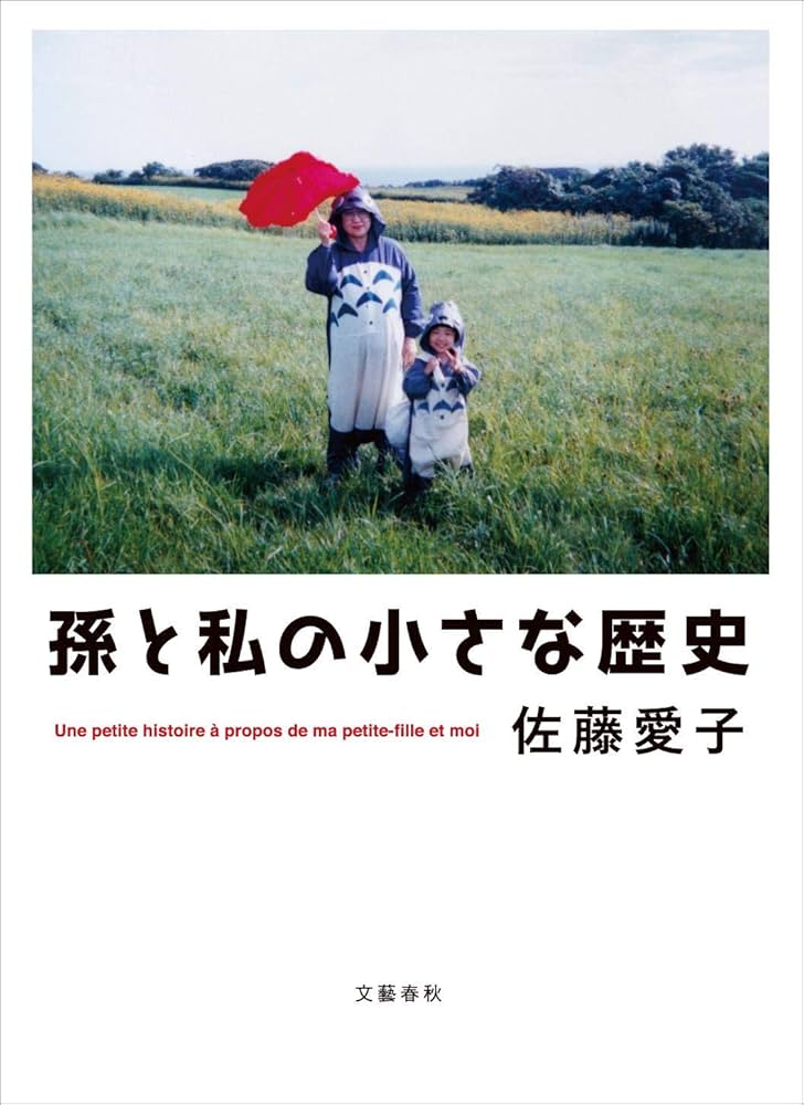 佐藤愛子 孫と私の小さな歴史 小説