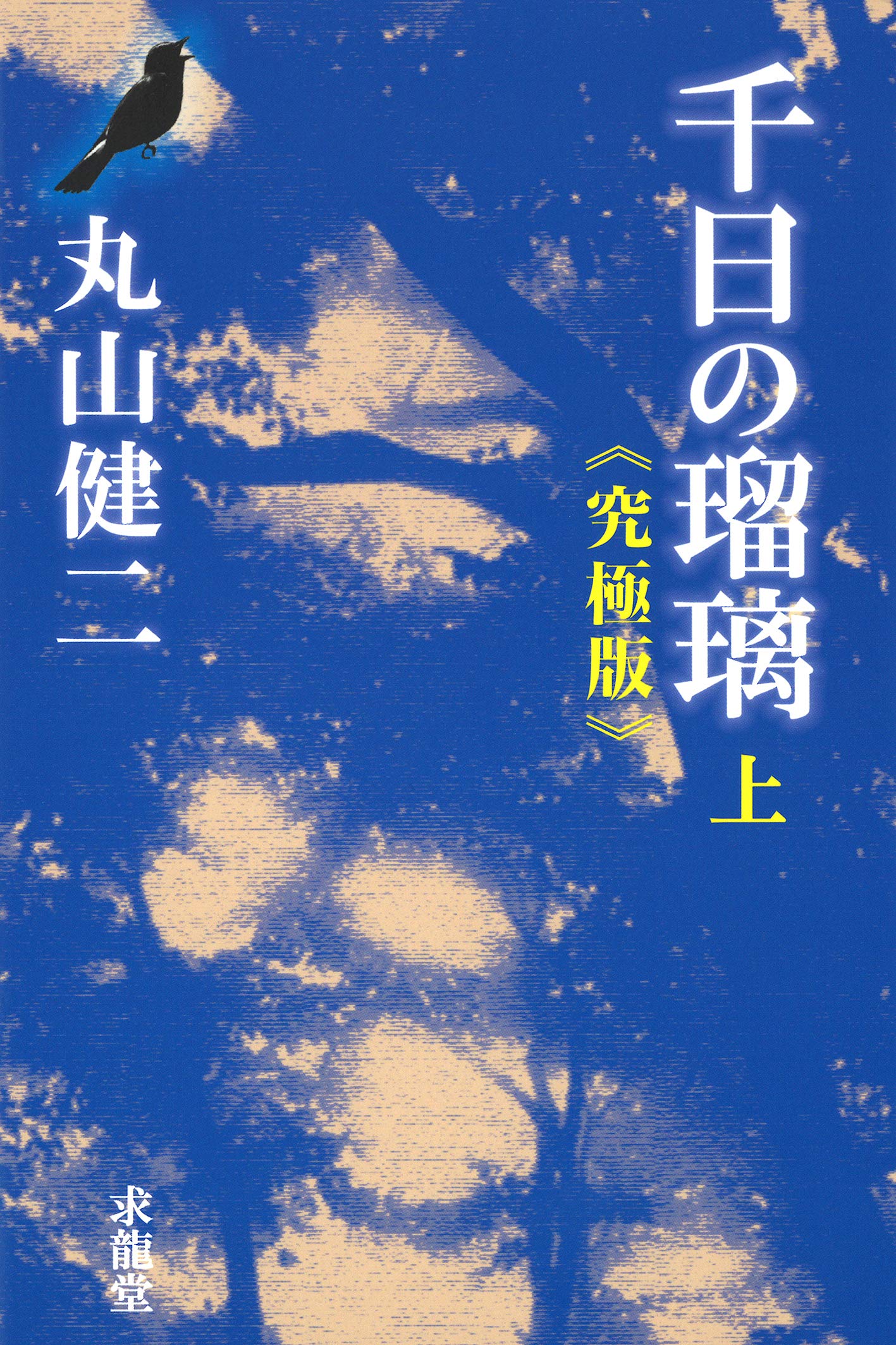 丸山健二 千日の瑠璃 小説