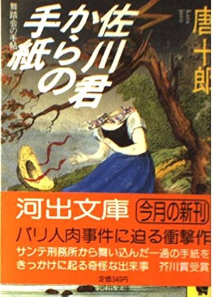 佐川君からの手紙 唐十郎 小説