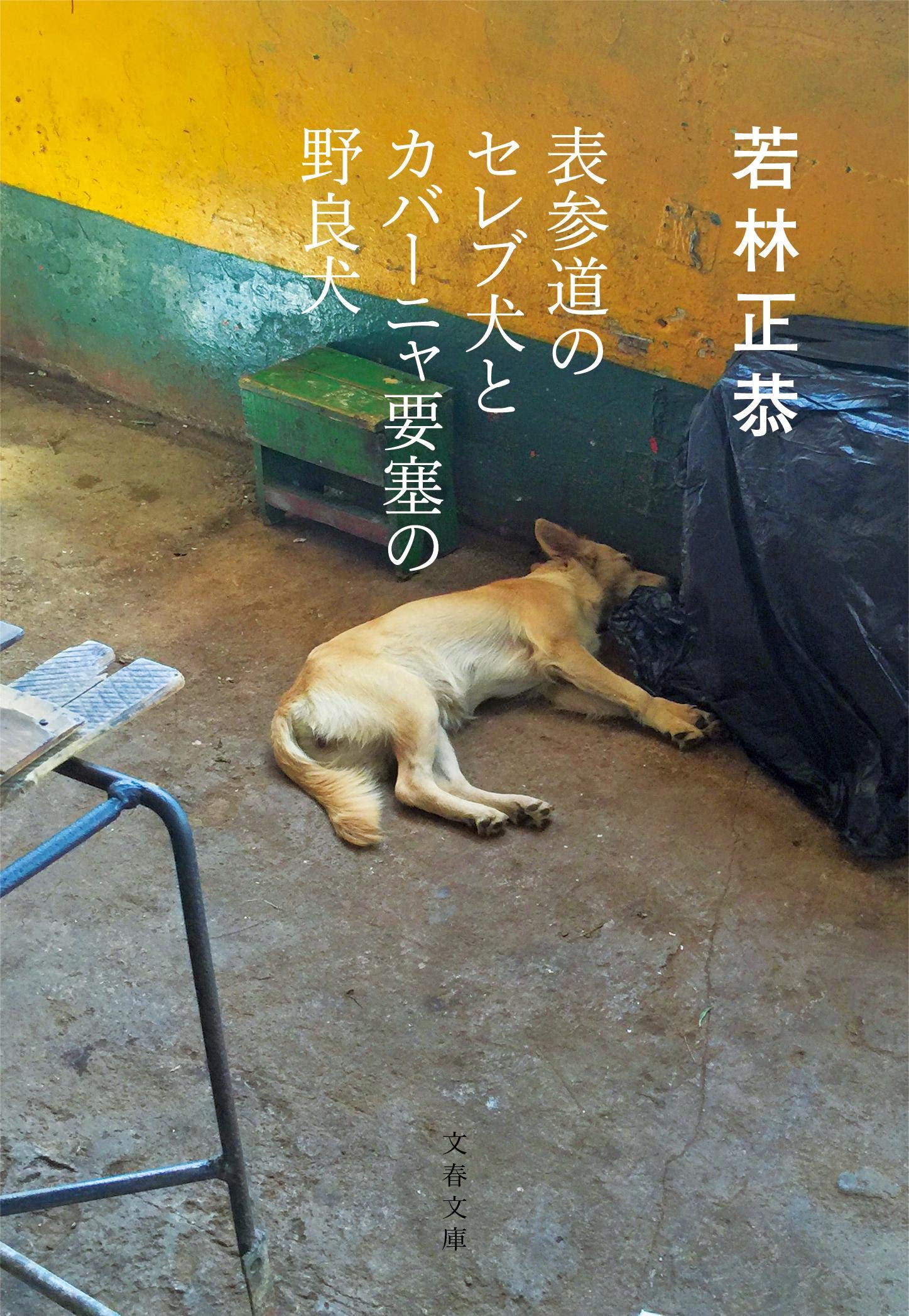 表参道のセレブ犬とカバーニャ要塞の野良犬 若林正恭 小説