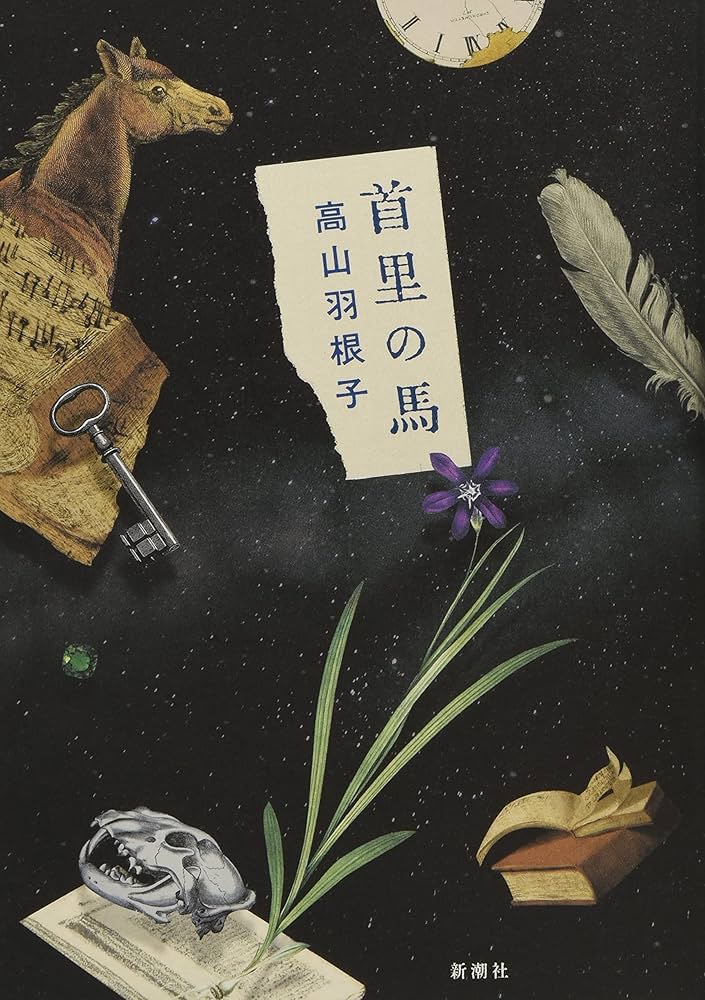 高山羽根子 首里の馬 小説